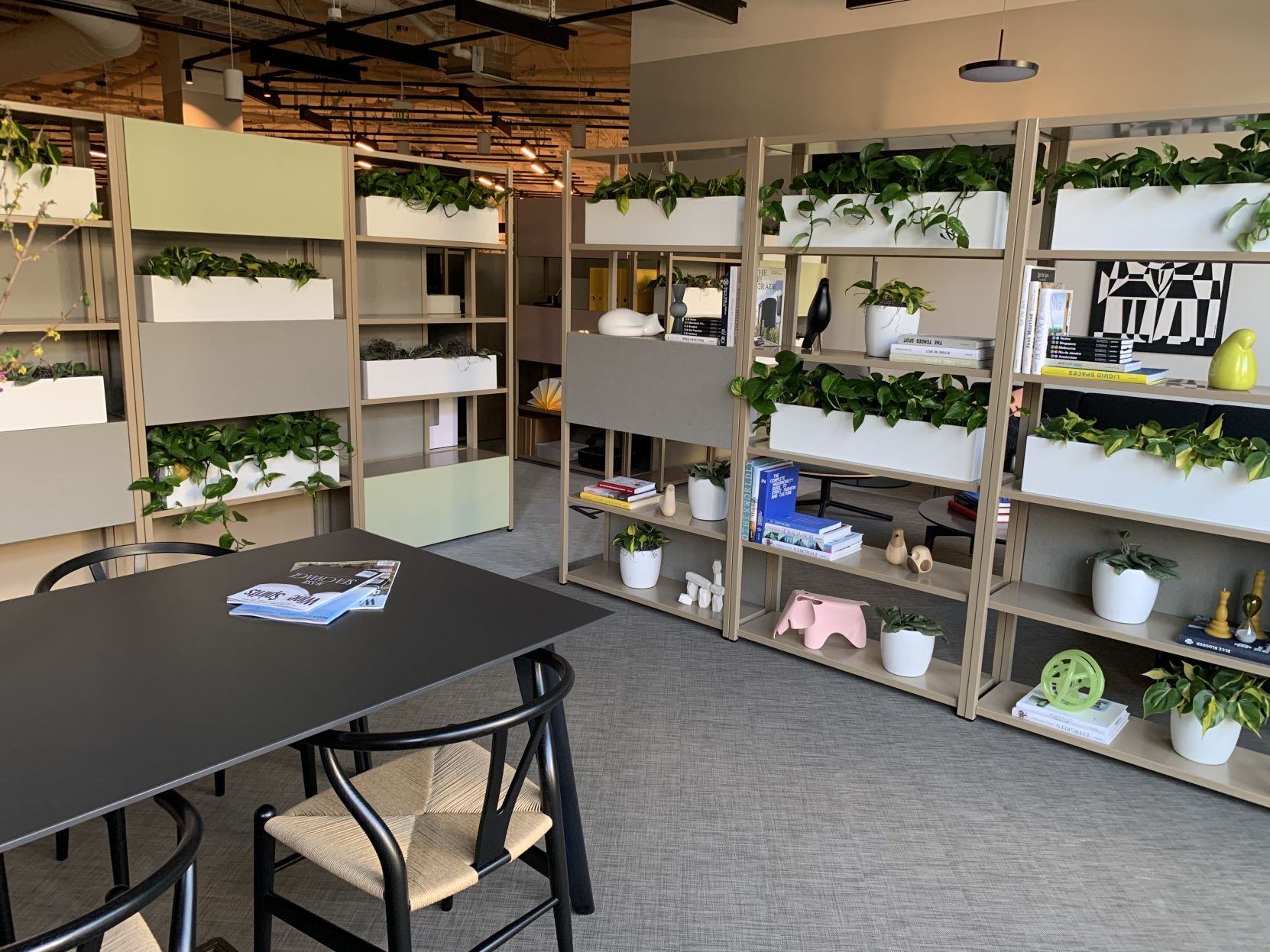 Napa Spaces flexible coworking hub